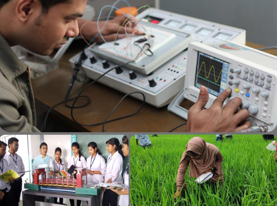 4-Year Diploma Scholarship Programme
